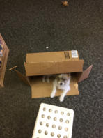 And HELPER