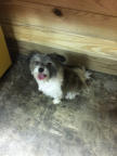 Ex-Greeter. Current Freeloader